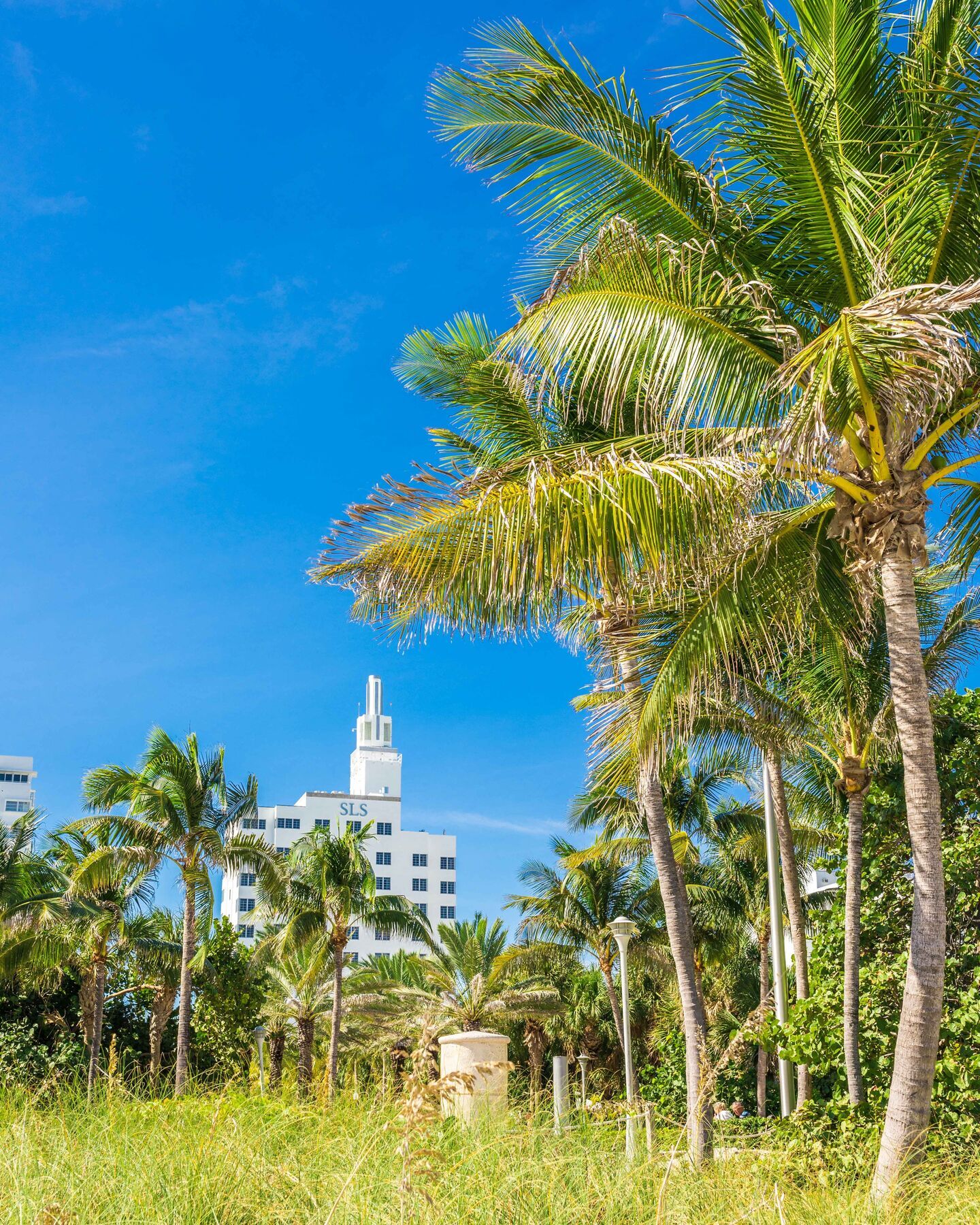 Sls South Beach (Adults Only) Μαϊάμι Μπιτς Εξωτερικό φωτογραφία